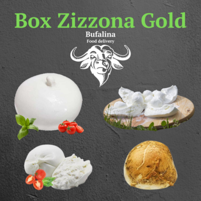 box-zizzona